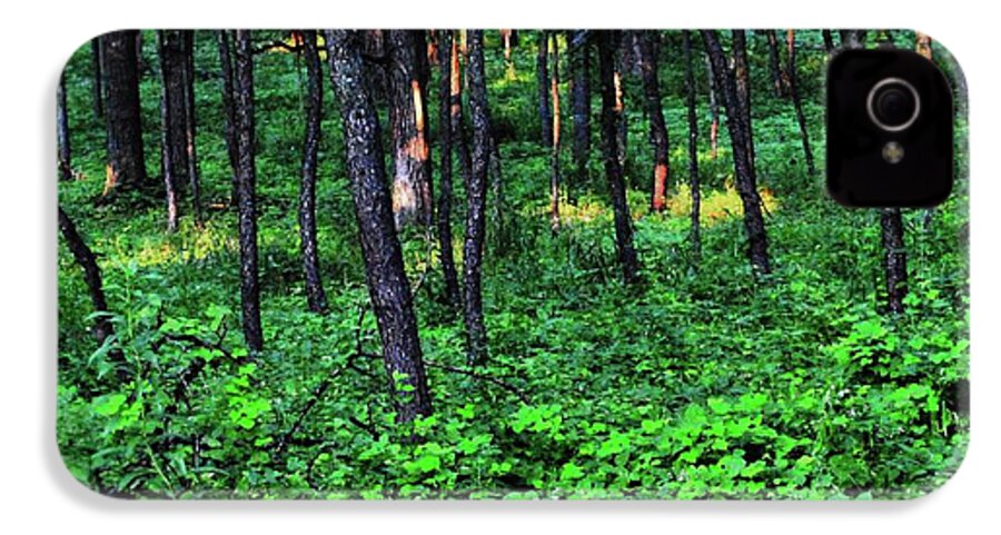 Patchy Sunlight in The Woods - Phone Case