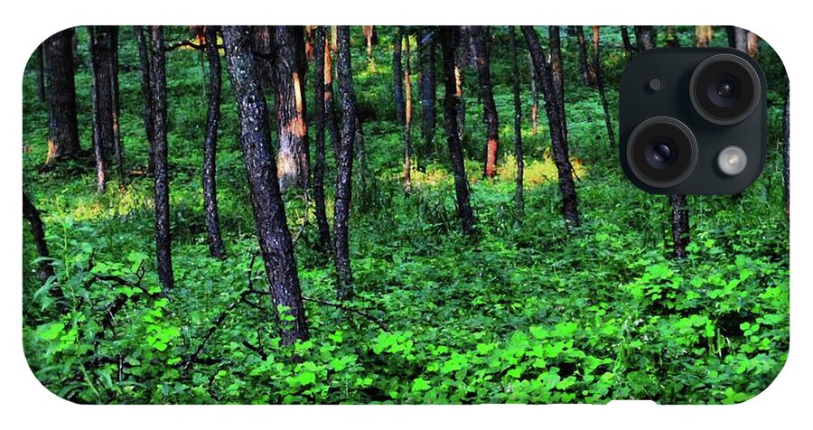 Patchy Sunlight in The Woods - Phone Case