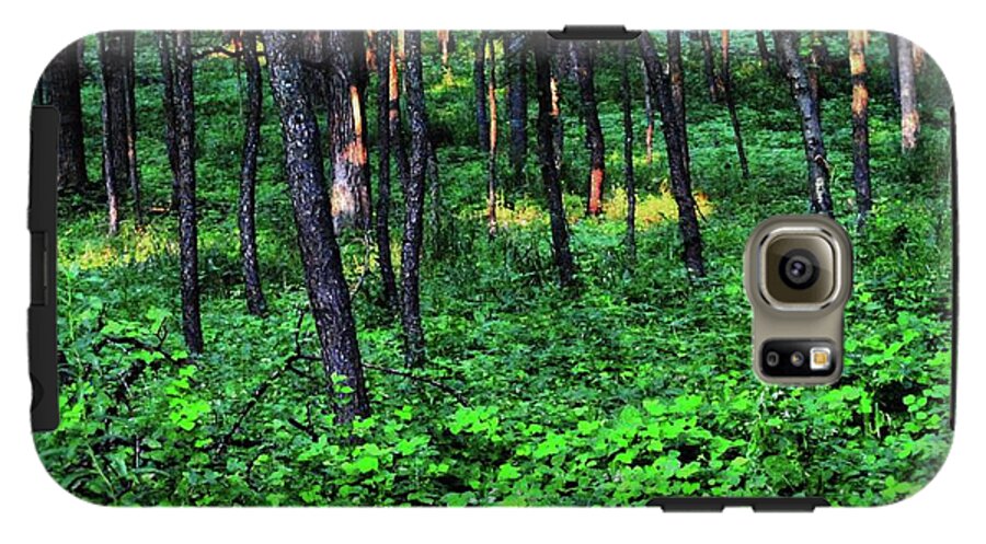 Patchy Sunlight in The Woods - Phone Case