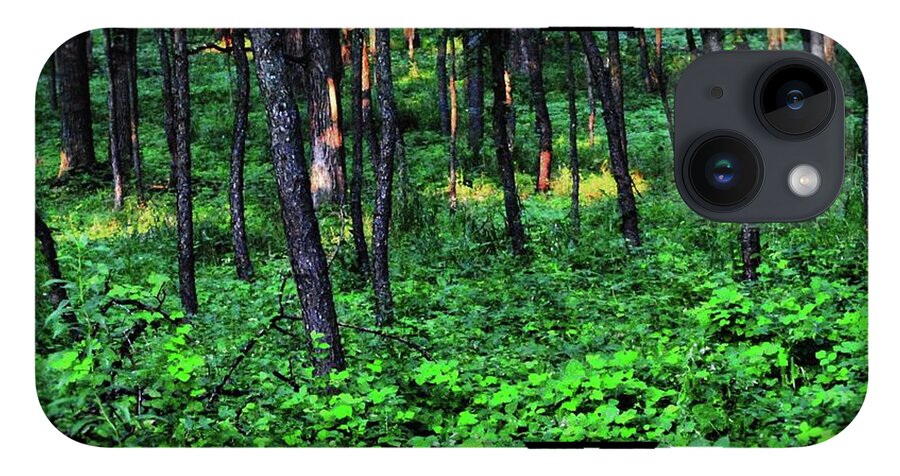 Patchy Sunlight in The Woods - Phone Case