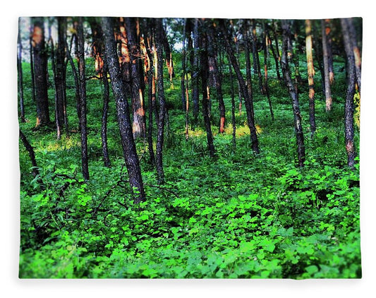 Patchy Sunlight in The Woods - Blanket
