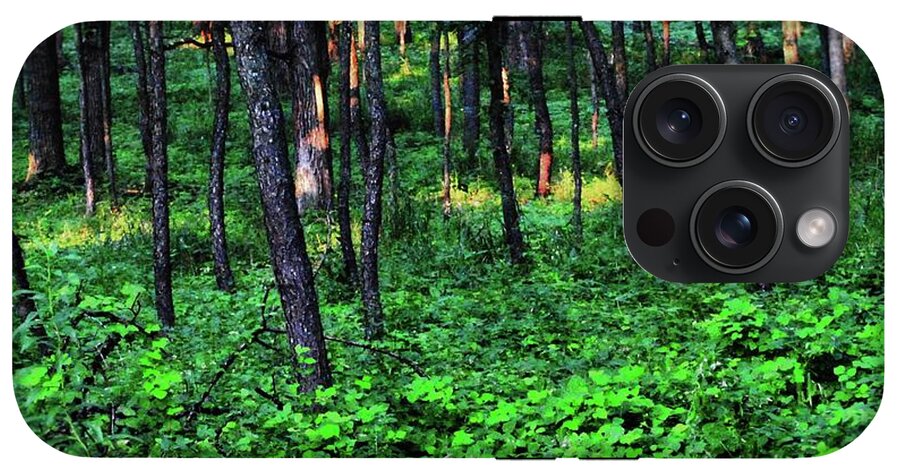 Patchy Sunlight in The Woods - Phone Case