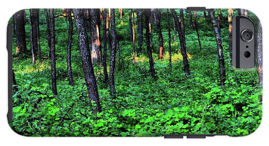 Patchy Sunlight in The Woods - Phone Case