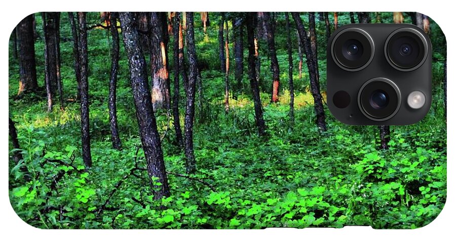 Patchy Sunlight in The Woods - Phone Case