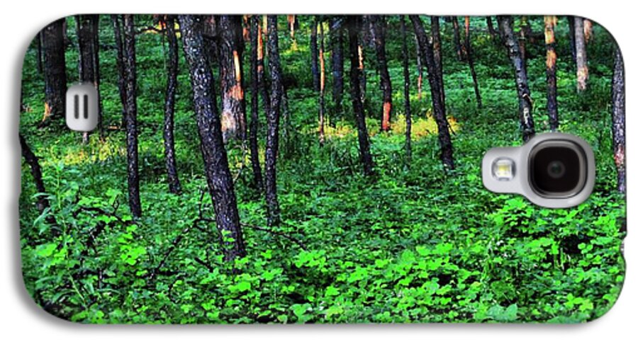 Patchy Sunlight in The Woods - Phone Case