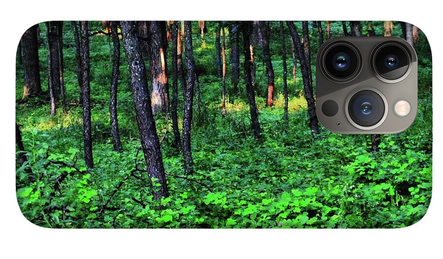 Patchy Sunlight in The Woods - Phone Case
