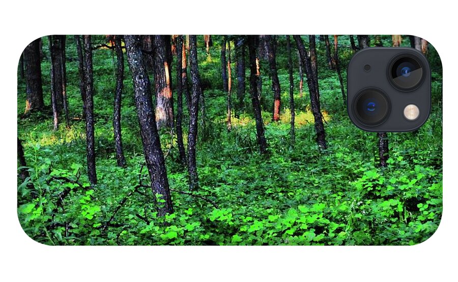 Patchy Sunlight in The Woods - Phone Case