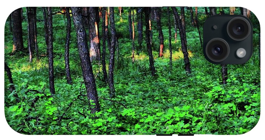Patchy Sunlight in The Woods - Phone Case