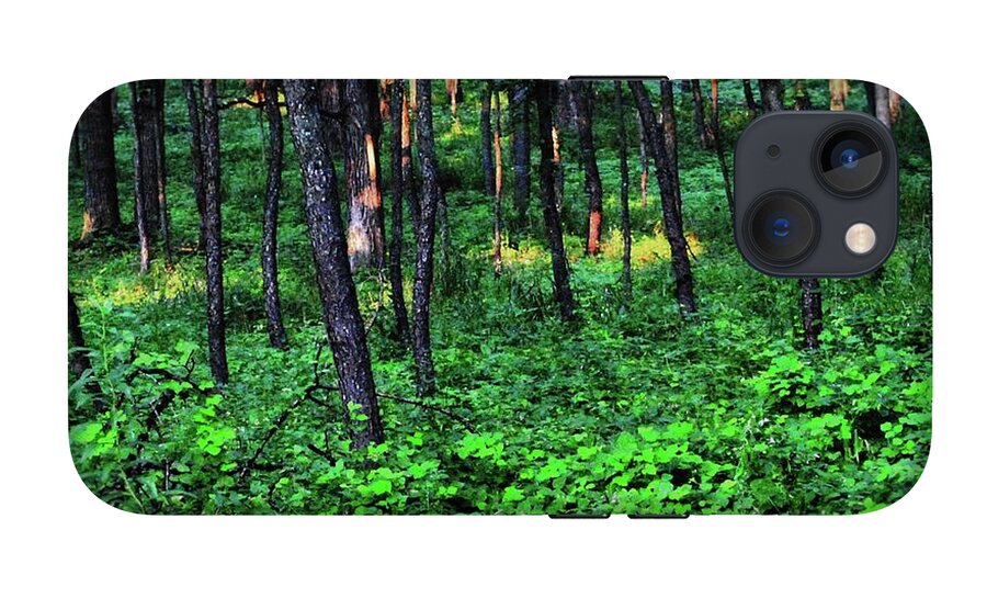 Patchy Sunlight in The Woods - Phone Case
