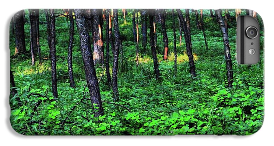 Patchy Sunlight in The Woods - Phone Case