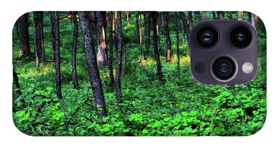 Patchy Sunlight in The Woods - Phone Case