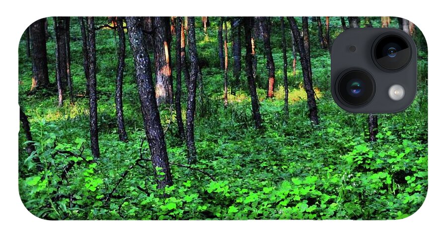 Patchy Sunlight in The Woods - Phone Case