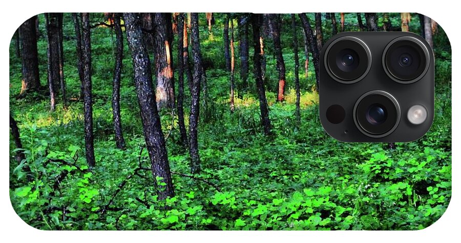 Patchy Sunlight in The Woods - Phone Case