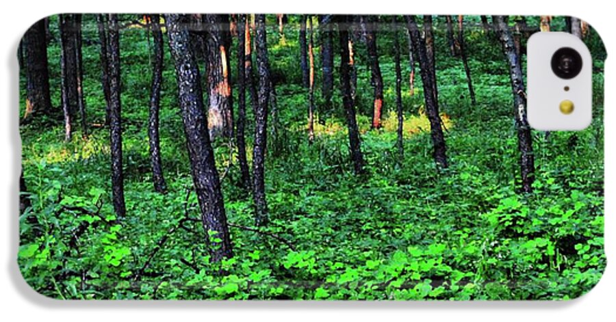 Patchy Sunlight in The Woods - Phone Case