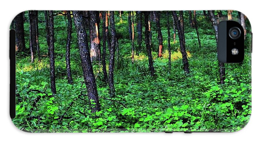 Patchy Sunlight in The Woods - Phone Case