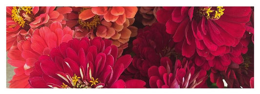 Peach and Pink Zinnias - Yoga Mat