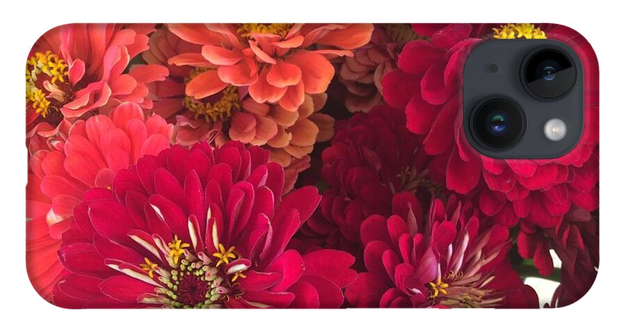 Peach and Pink Zinnias - Phone Case