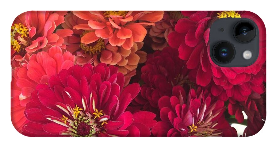 Peach and Pink Zinnias - Phone Case