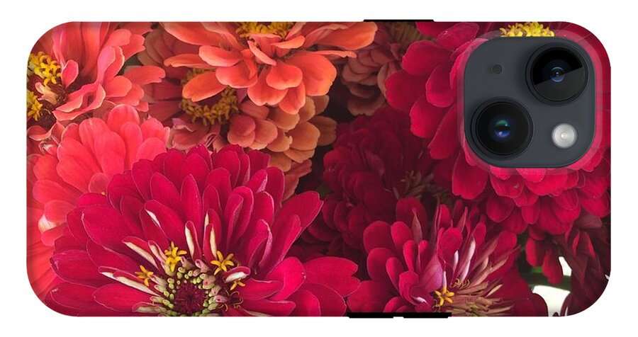 Peach and Pink Zinnias - Phone Case