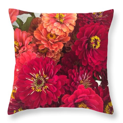 Peach and Pink Zinnias - Throw Pillow