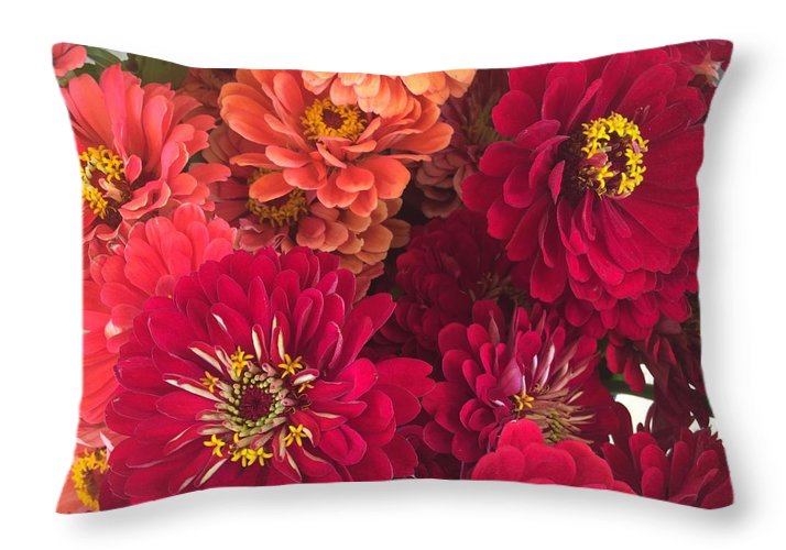 Peach and Pink Zinnias - Throw Pillow