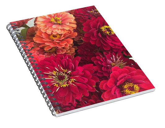 Peach and Pink Zinnias - Spiral Notebook