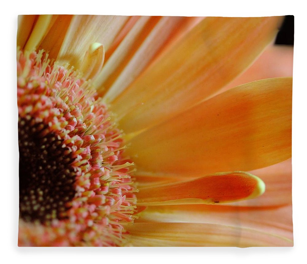 Peach Daisy Sideview - Blanket