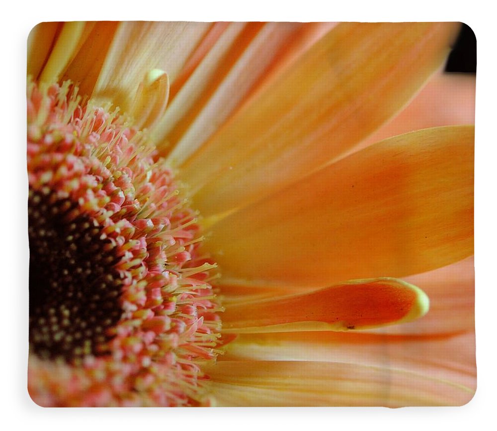 Peach Daisy Sideview - Blanket