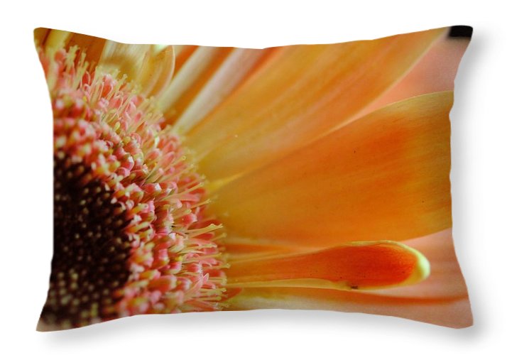 Peach Daisy Sideview - Throw Pillow