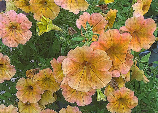Peach Petunias - Puzzle