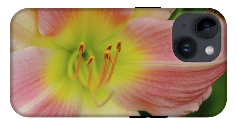Peaches and Cream Lily - Phone Case