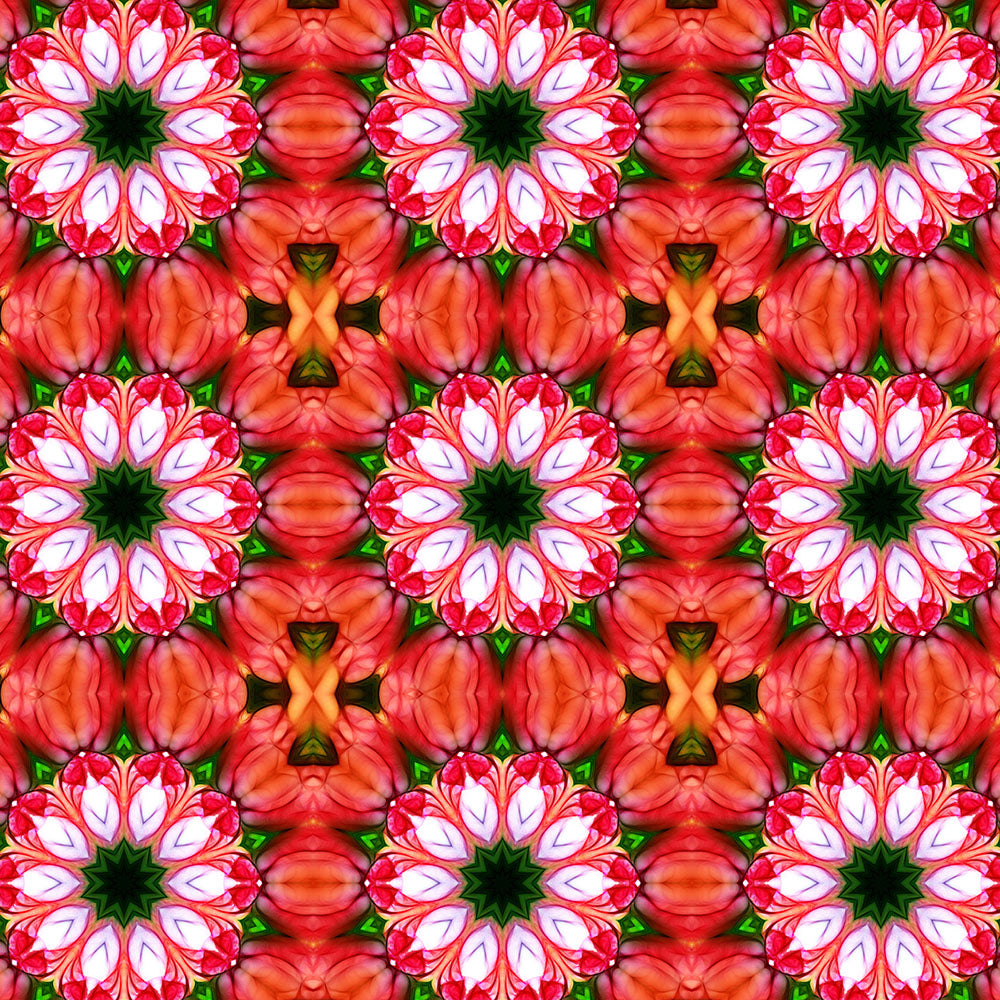 Peachy Flower Kaleidoscope Digital Image Download