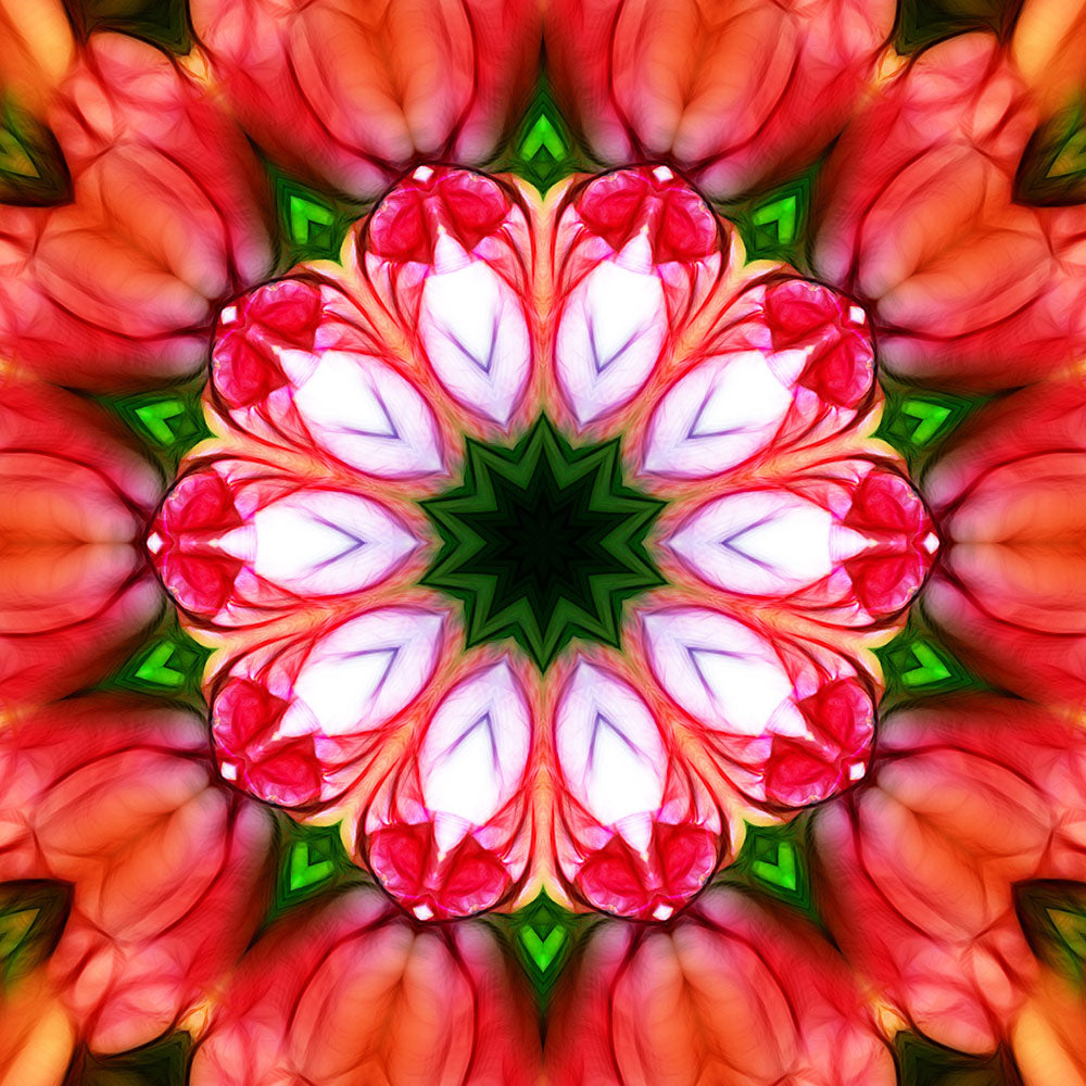Peachy Pink Flower Kaleidoscope Digital Image Download