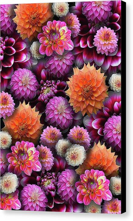 Pink and Orange Dahlias Collage - Canvas Print