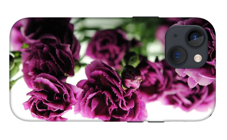 Pink and Purple Carnations On Lightbox - Phone Case