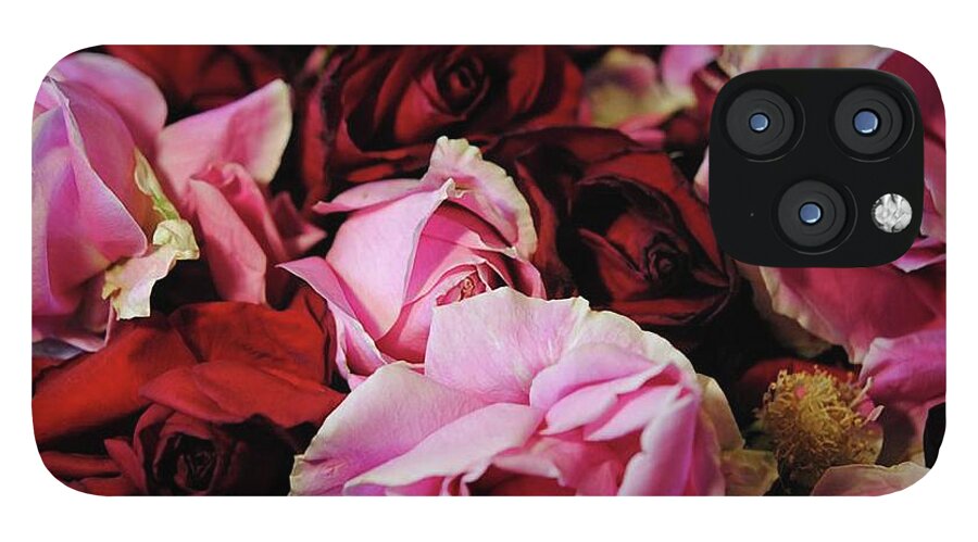 Pink and Red Roseheads - Phone Case