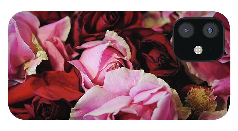 Pink and Red Roseheads - Phone Case