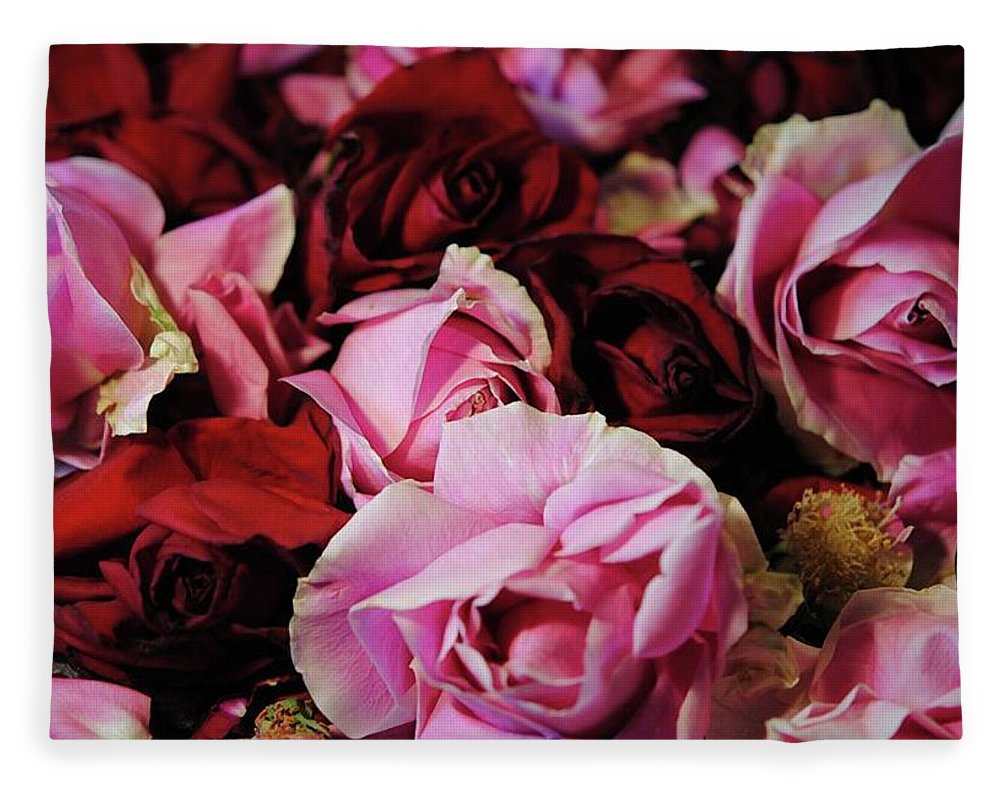 Pink and Red Roseheads - Blanket