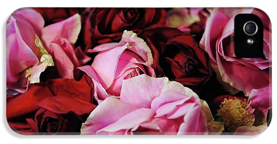 Pink and Red Roseheads - Phone Case