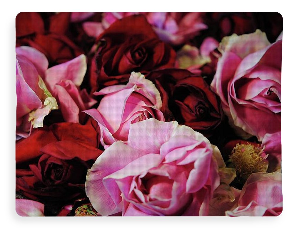 Pink and Red Roseheads - Blanket