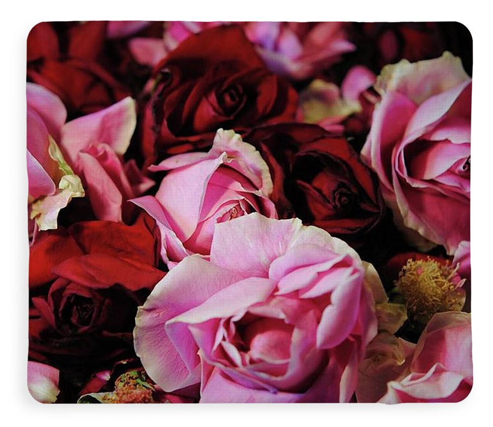 Pink and Red Roseheads - Blanket