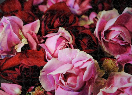 Pink and Red Roseheads - Puzzle