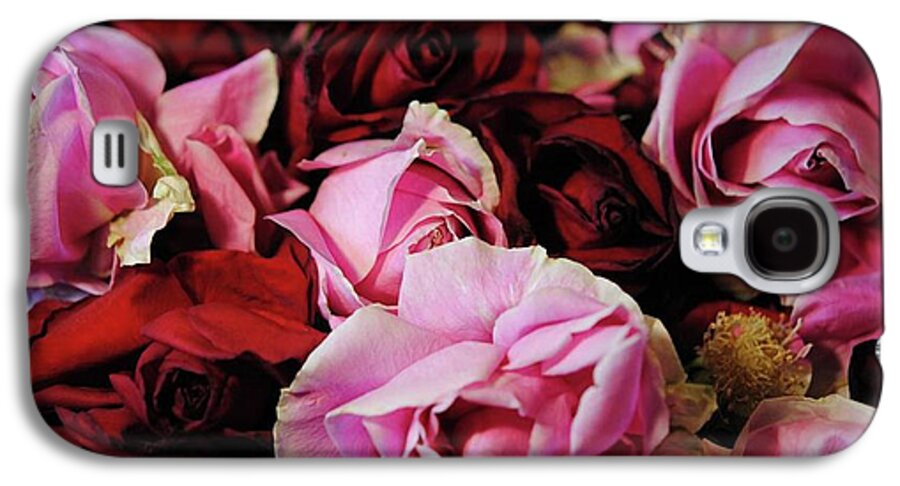 Pink and Red Roseheads - Phone Case
