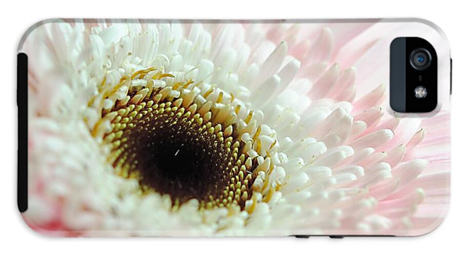 Pink and White Daisy - Phone Case