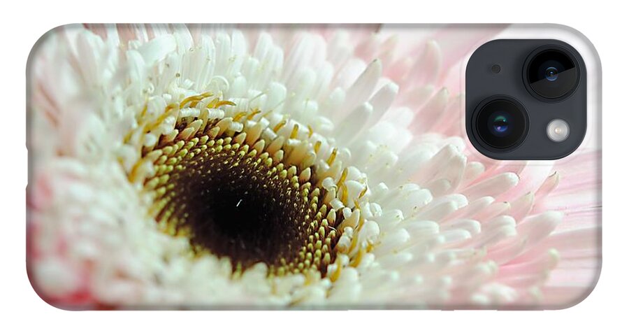Pink and White Daisy - Phone Case
