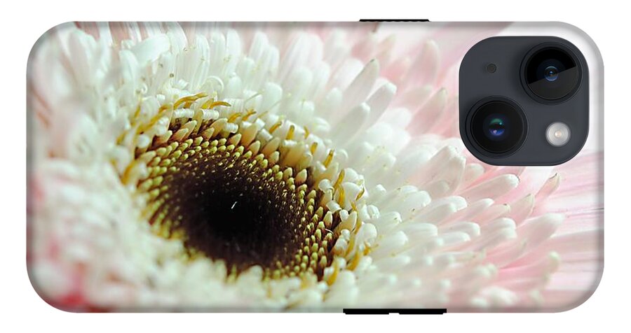 Pink and White Daisy - Phone Case