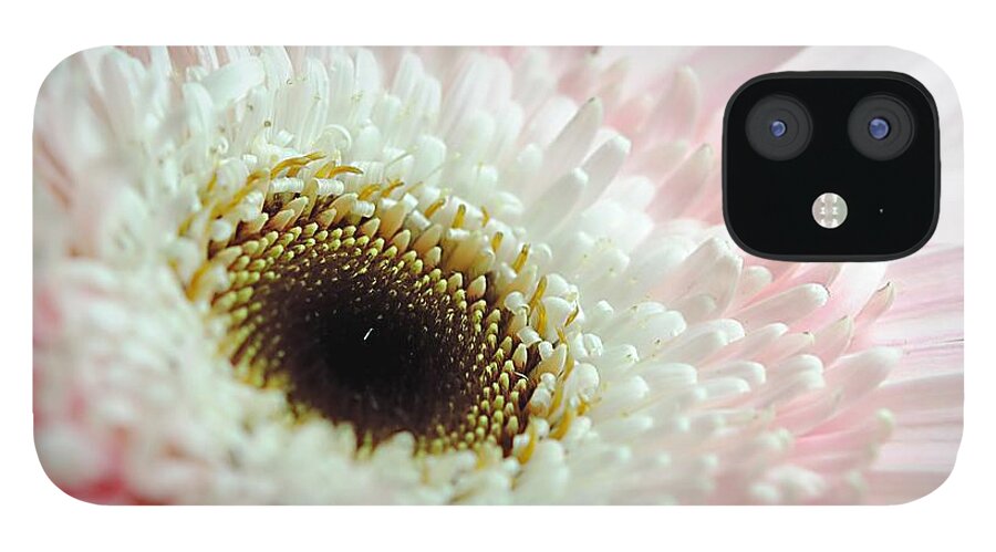 Pink and White Daisy - Phone Case