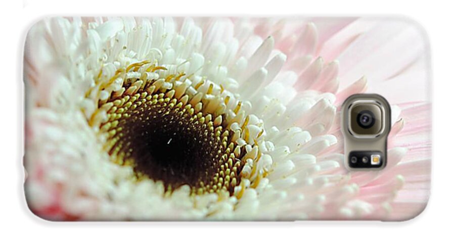 Pink and White Daisy - Phone Case