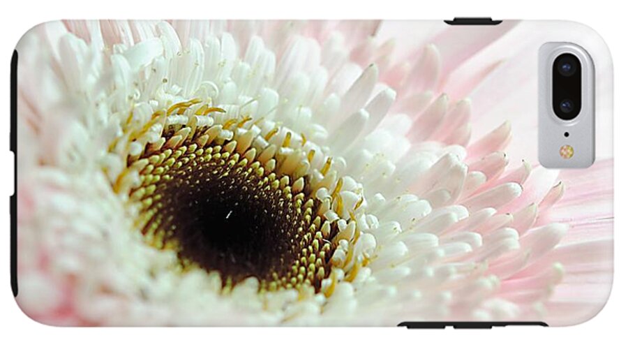 Pink and White Daisy - Phone Case
