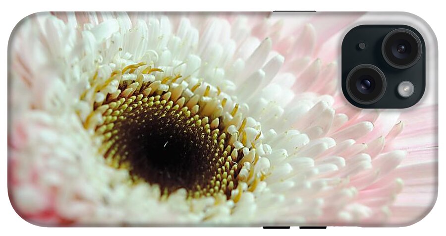 Pink and White Daisy - Phone Case
